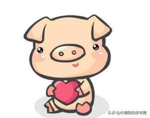 猪的成语（猪的成语解释）