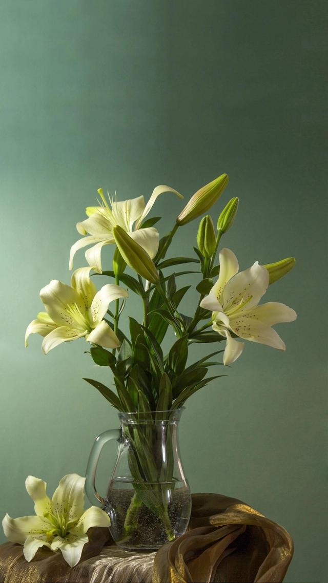 百般掩饰的意思（百般掩饰的近义词是什么）