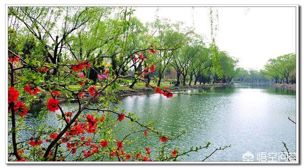 形容春天的成语（形容春天的成语高级）