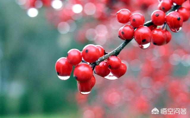 应接不暇的近义词（应接不暇的近义词有哪些）