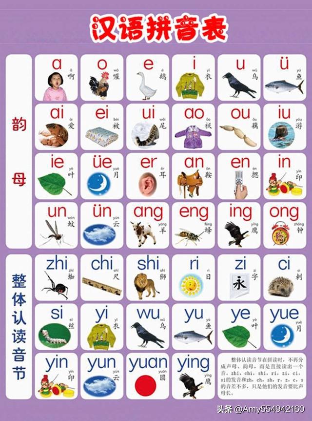 鹿的拼音（麝的拼音）