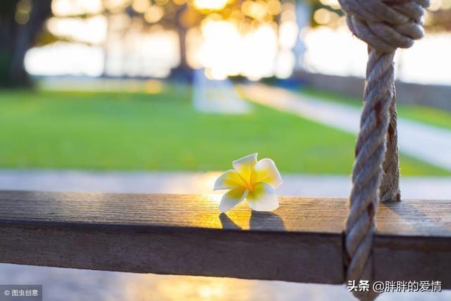 有深度有涵养的句子（夸赞男人有深度有涵养的句子）