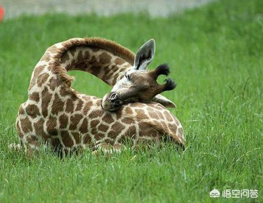 写给心累的自己(写给心累的自己的签名)
