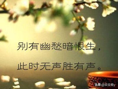 别有幽愁暗恨生（别有幽愁暗恨生下一句是什么）