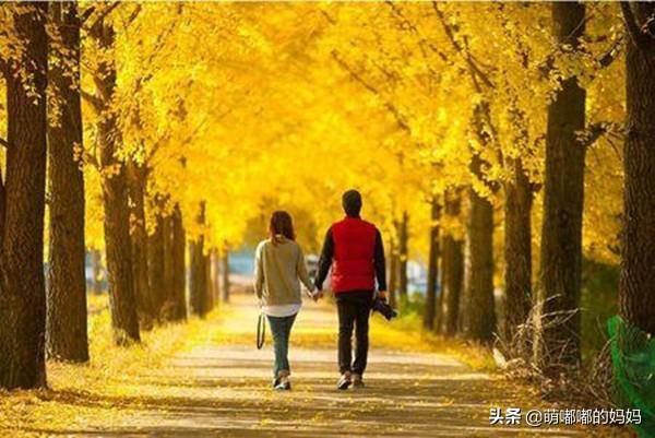 执子之手（执子之手宝石gem歌词）