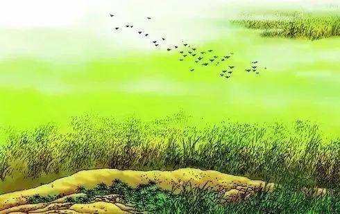 赋得古原草送别（赋得古原草送别题目什么意思）