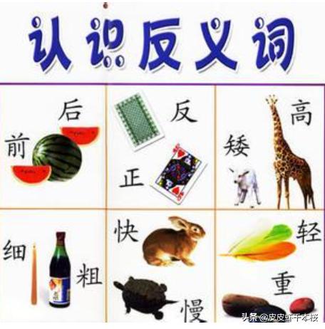 平添的反义词10个（平添的反义词和近义词）