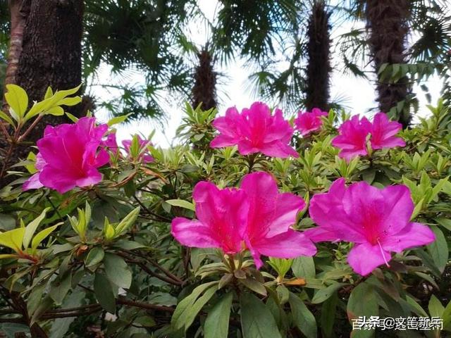 心烦心累怎么发朋友圈（心烦心累怎么发朋友圈说说）