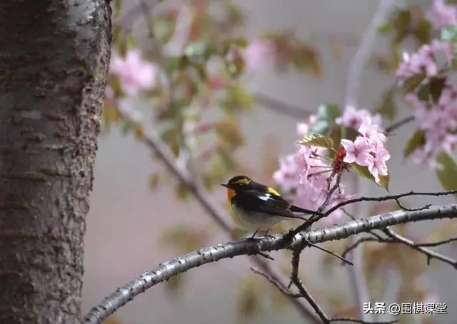 积淀的意思（积淀是什么）